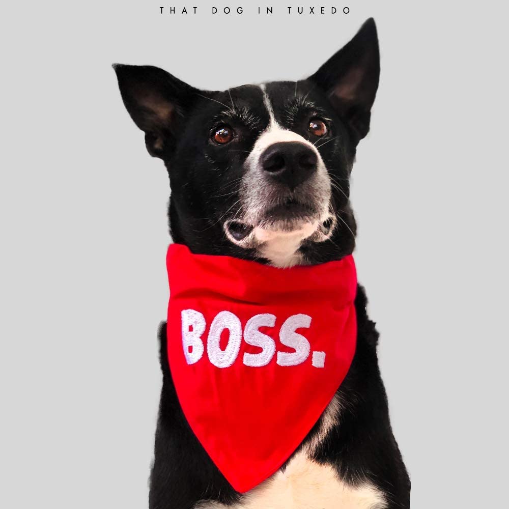 BOSS Dog Bandana & Scarf with Adjustable Collar - Tuxedo Style Pet Accessory for Large Dogs (Red, XL) - Perfect for Weddings, Parties & Special Occasions
