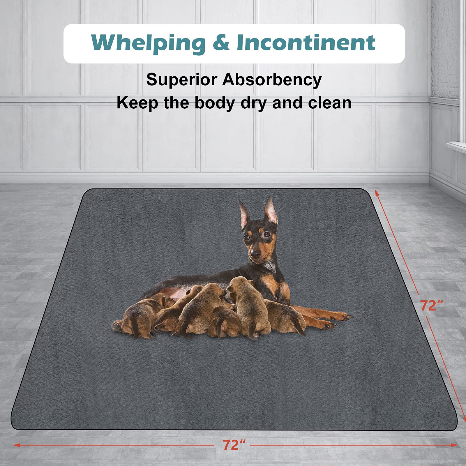 Washable & Reusable Dog Pee Pad 72x72 Inches - Non-Slip Extra Large Pet Training Pads for Puppy & Adult Dogs - Perfect for Crate, Kennel & Indoor Potty Training