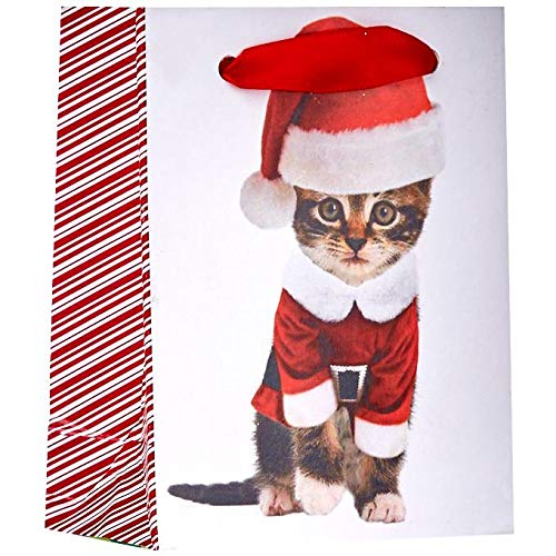 Kitty Christmas