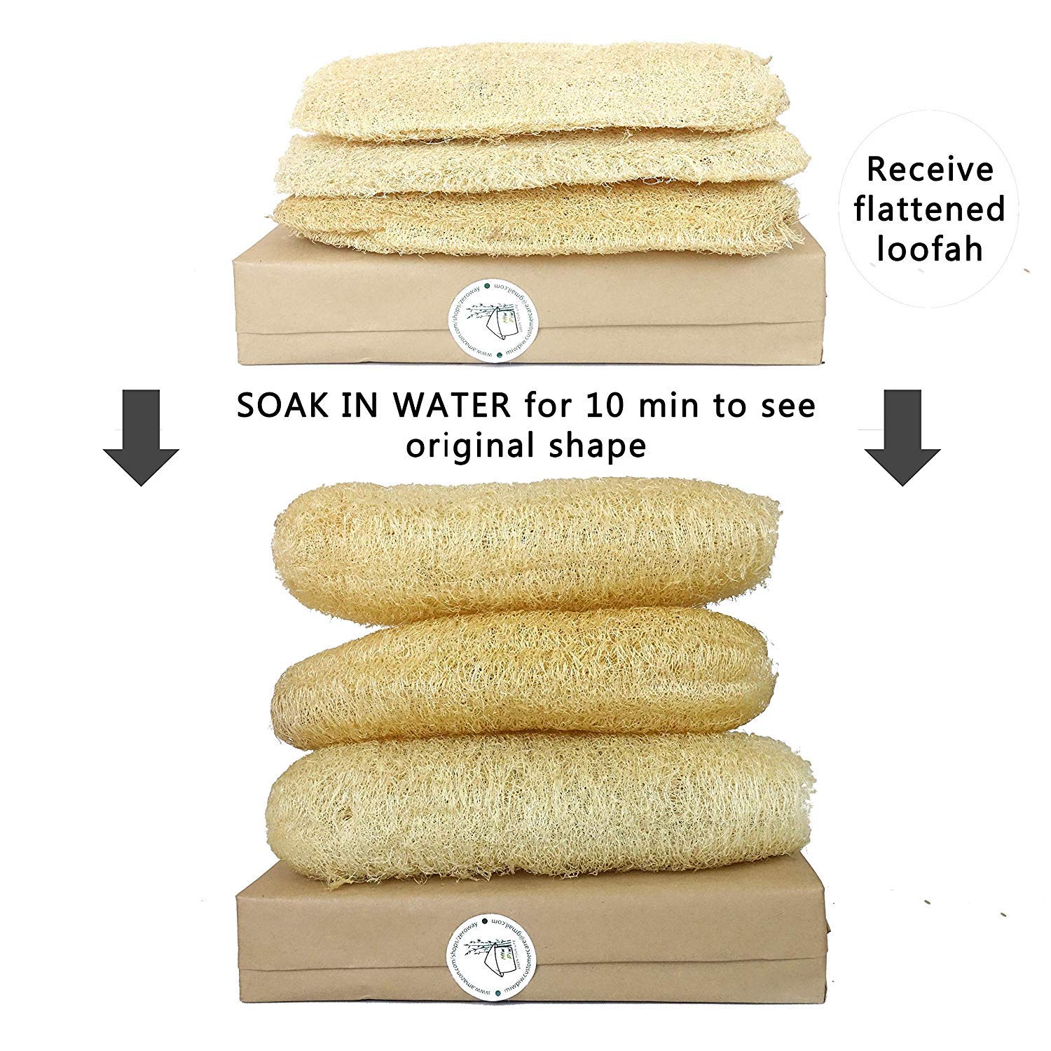 Natural Whole Loofah Sponge - 3 Pack Exfoliating Body Scrubber for Dead Skin Removal | Eco-Friendly Bath & Shower Sponge | Perfect for Sensitive Skin & Sustainable Zero Waste Lifestyle