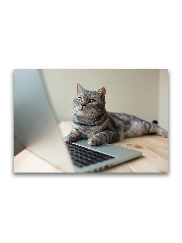 Funny Cute Cat Working on Laptop Poster - Office Decor, Home Wall Art, Gift for Cat Lovers - Perfect for Workspace, Bedroom & Living Room Decorations