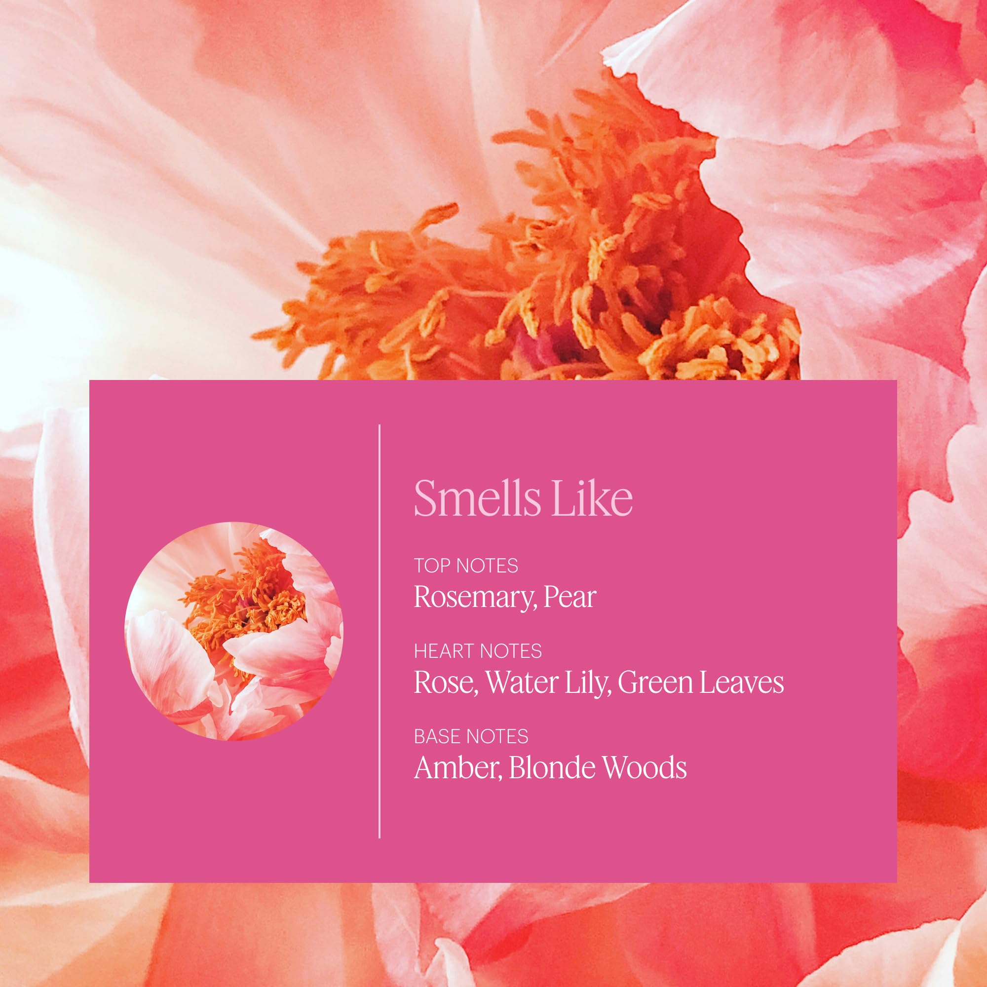 Aera Rose Home Fragrance Scent Refill - Himalayan Rose, Linden & Peony Essential Oil Diffuser Refill - Compatible with Aera Smart Diffuser - Perfect for Living Room, Bedroom & Office Aromatherapy