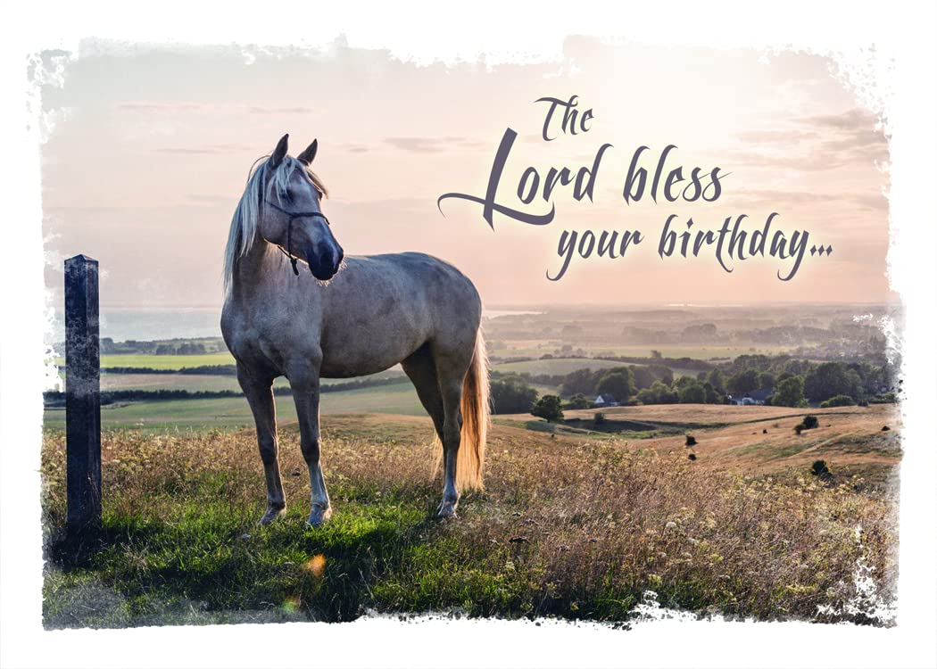 Wild and Free Christian Greeting Cards Assortment Box - 12 KJV Bible Verse Scripture Cards with Envelopes for All Occasions | Perfect for Birthdays, Weddings, Holidays & Inspirational Gifts