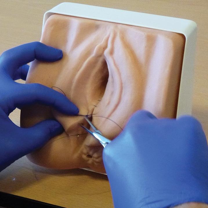 Episiotomy Suturing Perineal Repair Trainer Kit - Medical Practice Model for OBGYN Training & Midwife Skills Development - Perfect for Clinical Simulation and Surgical Education