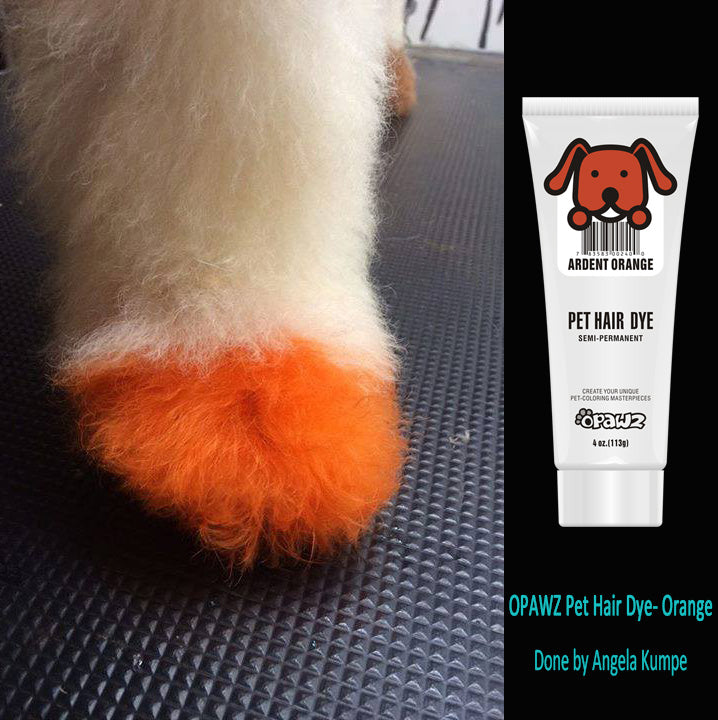 Vibrant Orange Dog Hair Dye - Safe & Non-Toxic Pet Fur Color for Dogs - Perfect for Halloween, Costume Parties & Creative Grooming (PD02)
