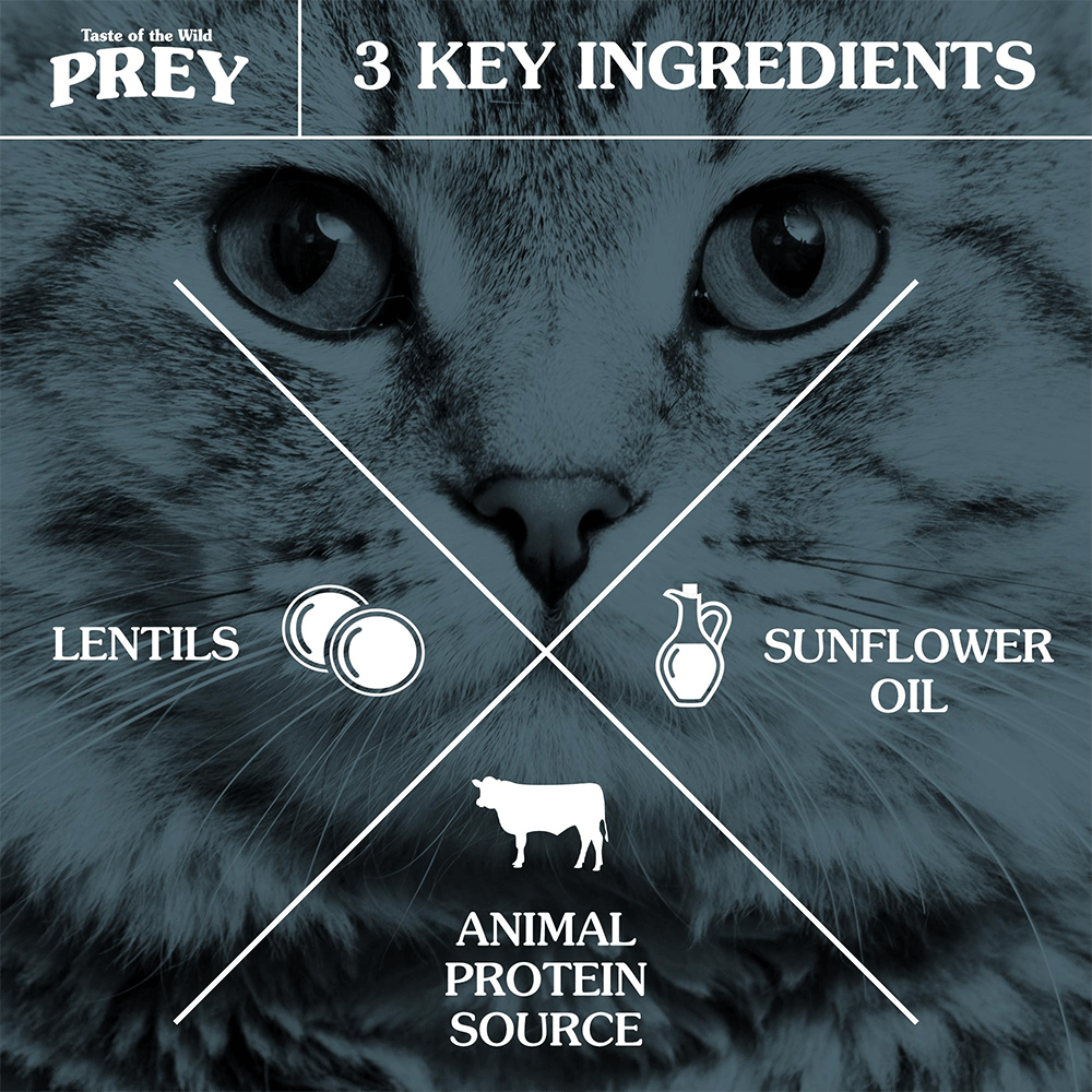Taste of the Wild PREY Angus Beef Grain-Free Dry Cat Food - High Protein Natural Nutrition for Indoor & Outdoor Cats - Perfect for Weight Management & Healthy Digestion