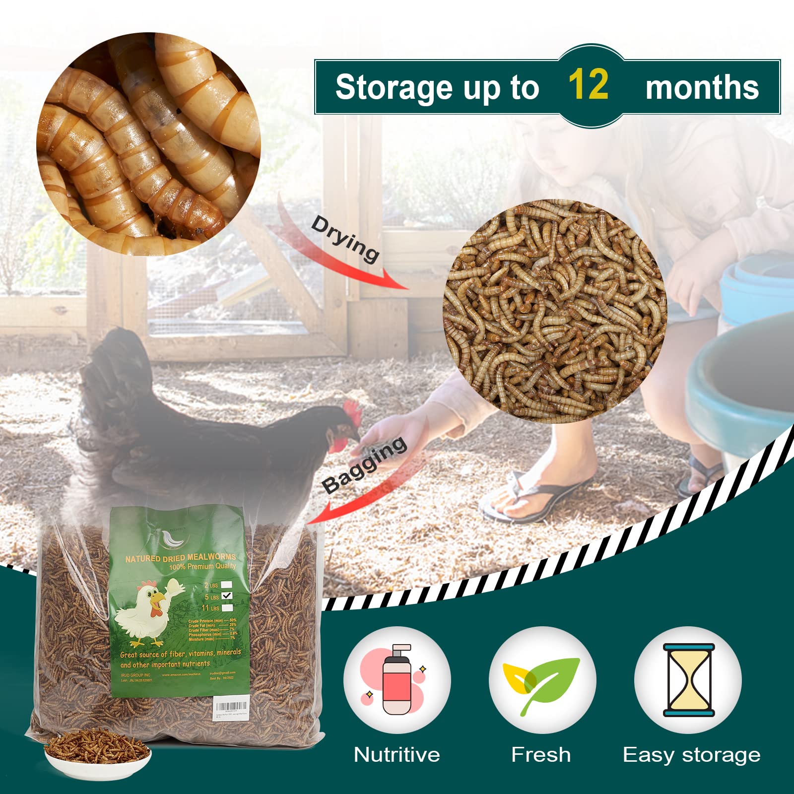 22LBs Non-GMO Dried Mealworms - High Protein Bird Food for Chickens, Ducks & Wild Birds | Nutritious Molting Supplement & Poultry Treat | Perfect for Backyard Flocks, Bird Feeders & Hunting Bait
