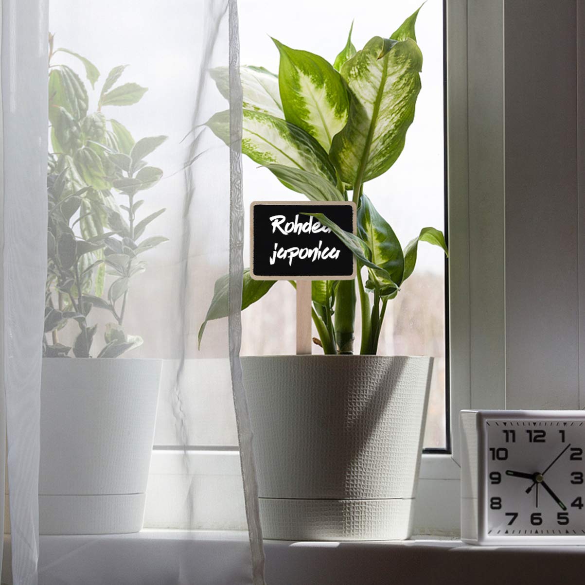 10Pcs Mini Wood Chalkboard Stakes - Reusable Plant Labels for Garden, Nursery, Flowers & Vegetables | Perfect for Seedling Identification, Herb Markers & Backyard Gardening Organization