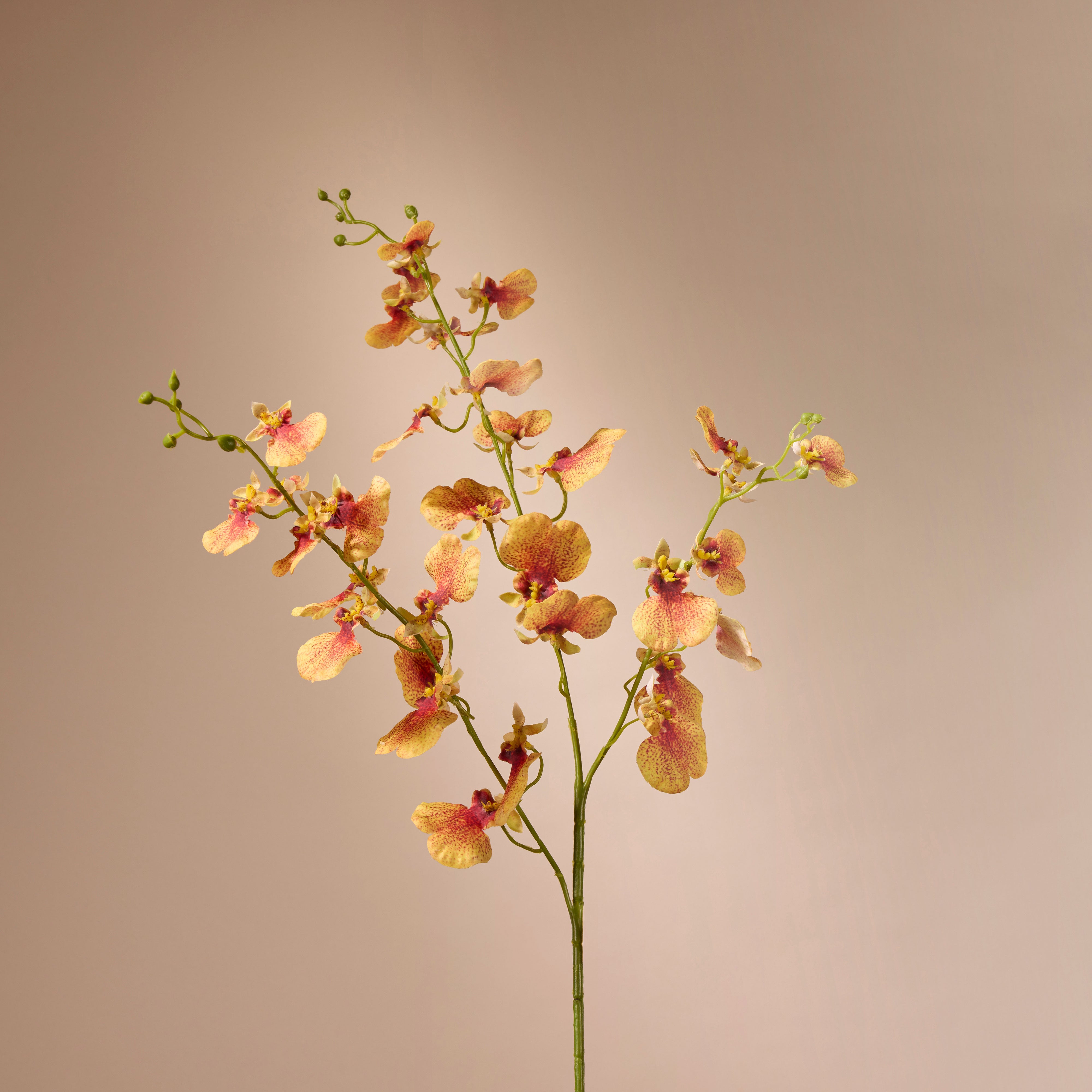 Artificial Dancing Orchid Spray - Orange 38.6