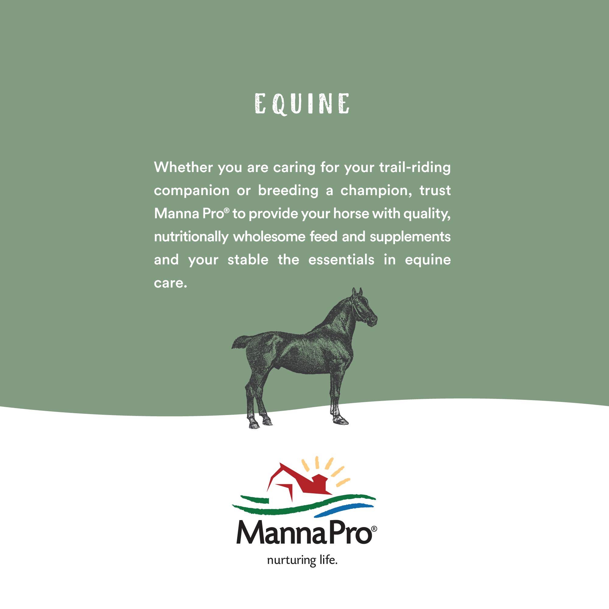 Manna Pro Bounce Back Vitamin Supplement for Chickens, 4 oz – Supports Poultry Health & Recovery for Backyard Flocks