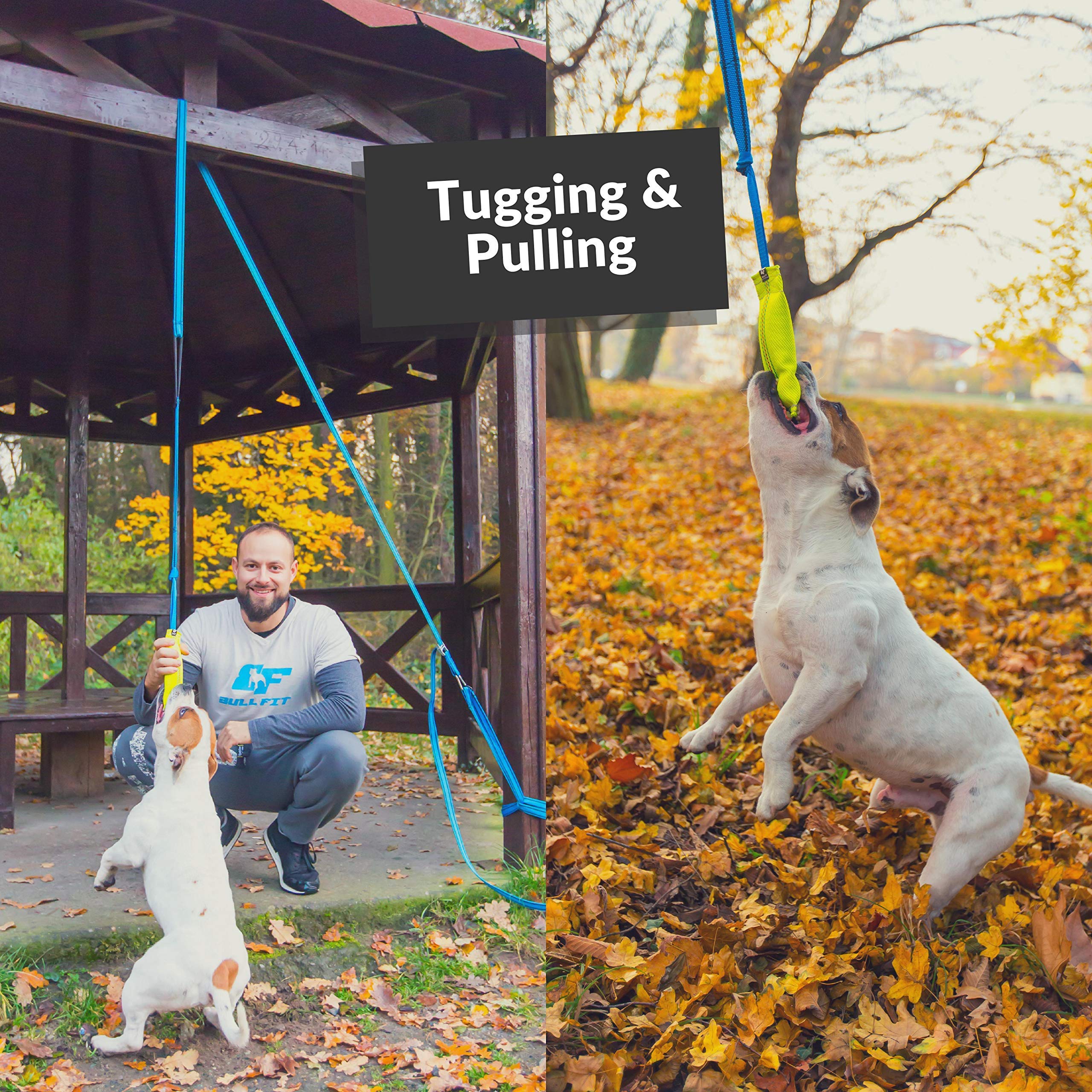 Bull Fit Dog Bite Tug Toy - Durable Chew Toy with 2 Reinforced Handles & Outdoor Bungee Rope - Perfect for Tug-of-War, Training, and Backyard Playtime