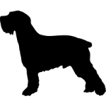 Dog Test Sign - Durable & Weatherproof for Training, Safety, and Outdoor Use - Perfect for Dog Parks, Training Classes & Backyards
