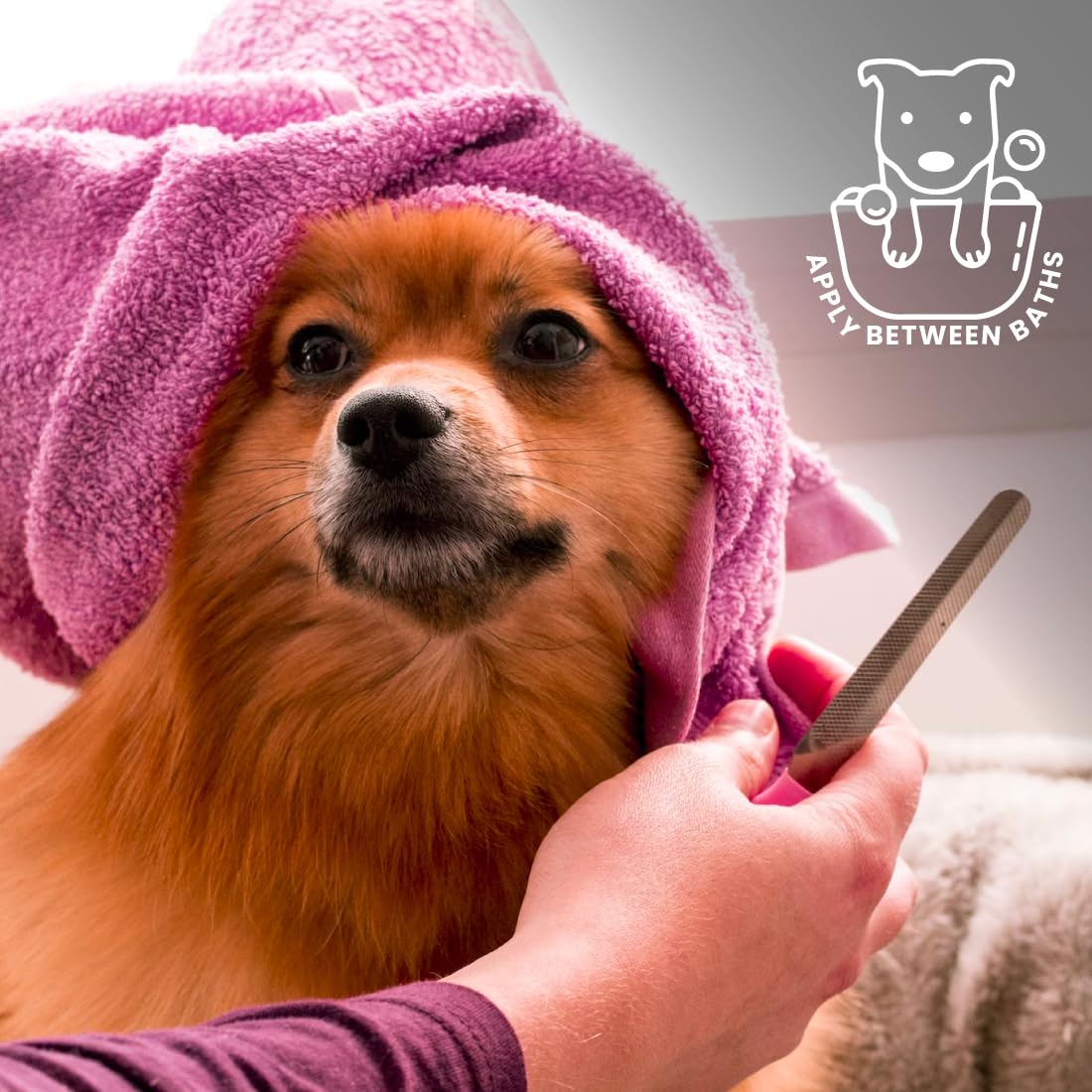 Best Shot UltraMAX Pro Finishing Spray for Dogs & Cats - Detangling, Hydrating & Soothing Pet Grooming Spray (1.1 Gallon) - Perfect for Post-Bath, Daily Coat Care & Professional Grooming Sessions
