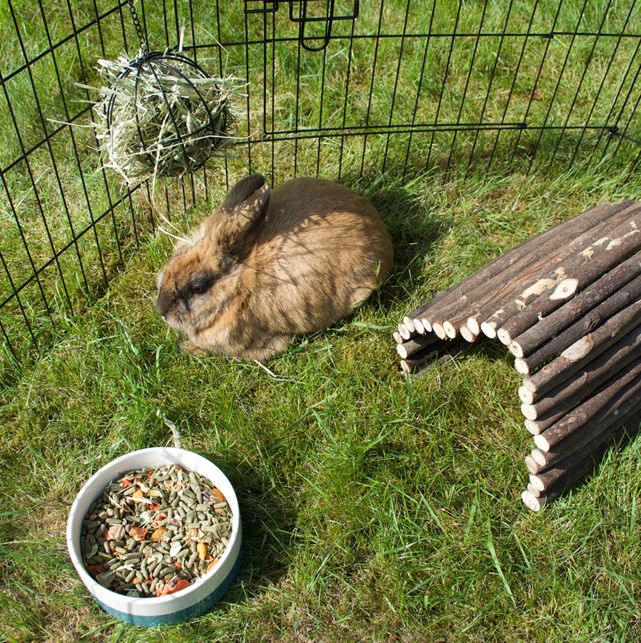 DUVO PLUS Expandable Wooden Bendy Bridge for Small Pets - Hamster, Gerbil, Rat Habitat Accessory - Perfect for Cages, Tunnels & Play Areas