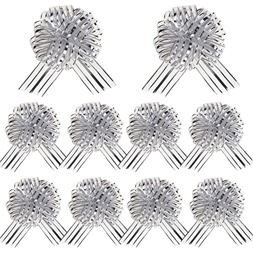 10 Pcs Silver