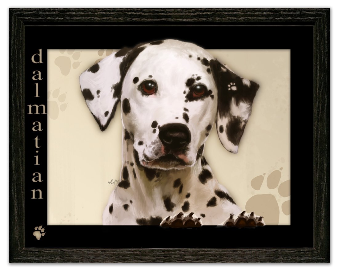 Dalmatian Dog Art Print by Scott Rogers - 'Paws on the Picture Frame' 13x10 Framed Wall Decor - Perfect for Pet Lovers, Living Room & Office Decor