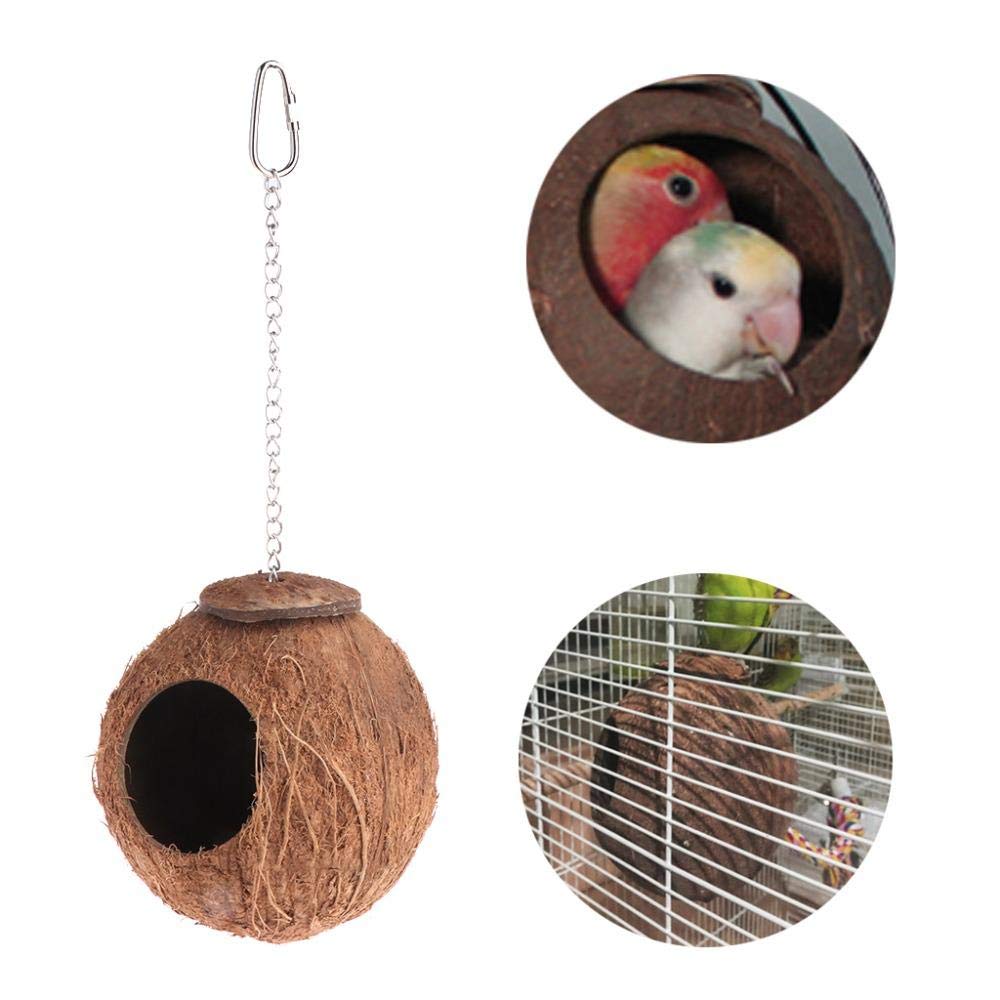 Natural Coconut Shell Bird Ladder & Swing House - 2Pcs Hanging Cage Toys for Parrots, Finches & Small Birds | Perfect for Climbing, Playing & Resting in Aviaries & Bird Cages