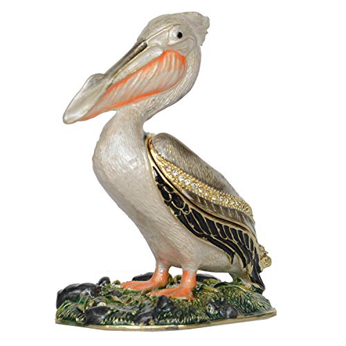 Pelican Bird