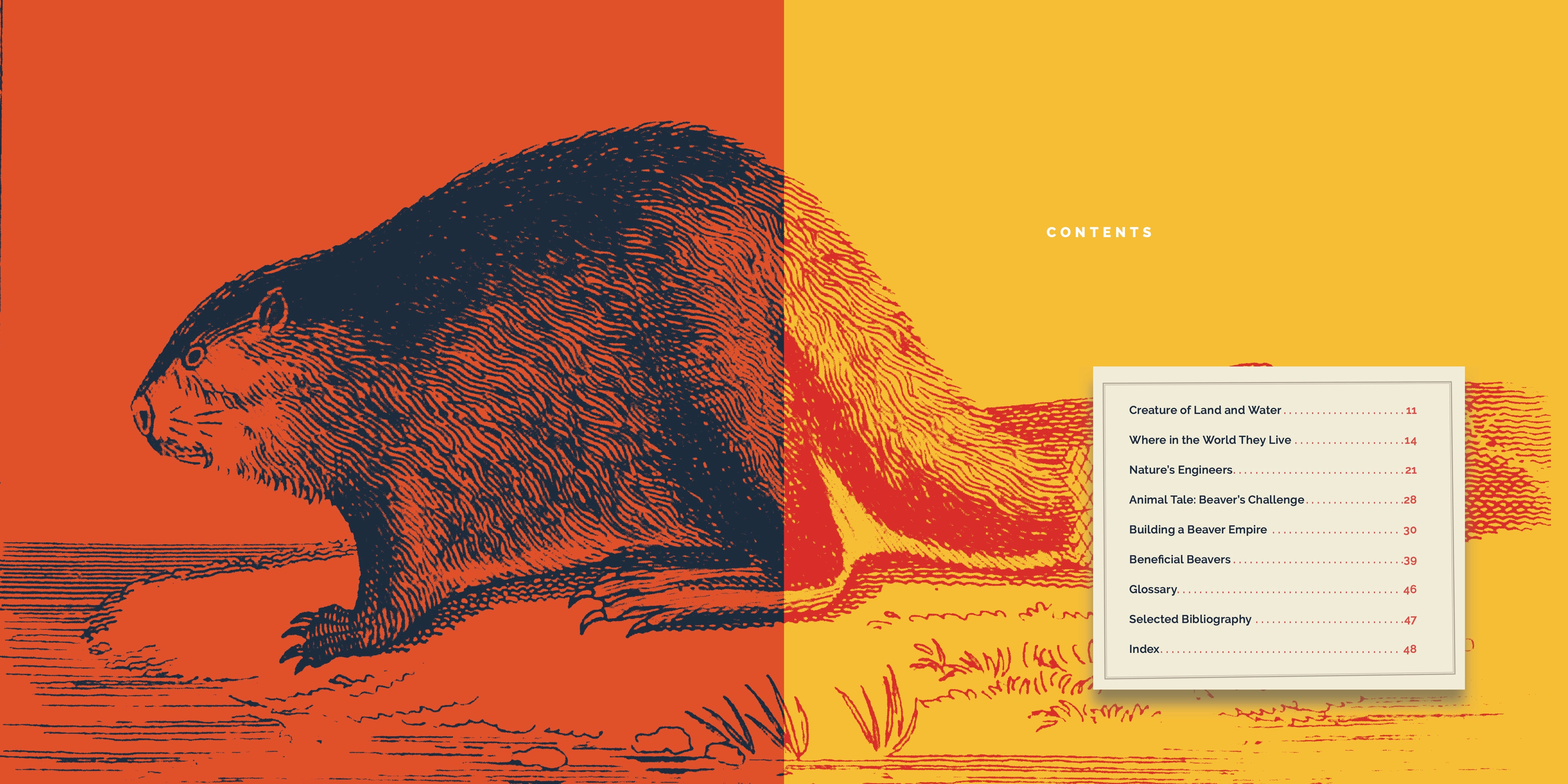 Beavers: 9781640267725 - Nature Books for Kids, Wildlife Education & Animal Facts - Perfect for Classroom Learning & Homeschooling
