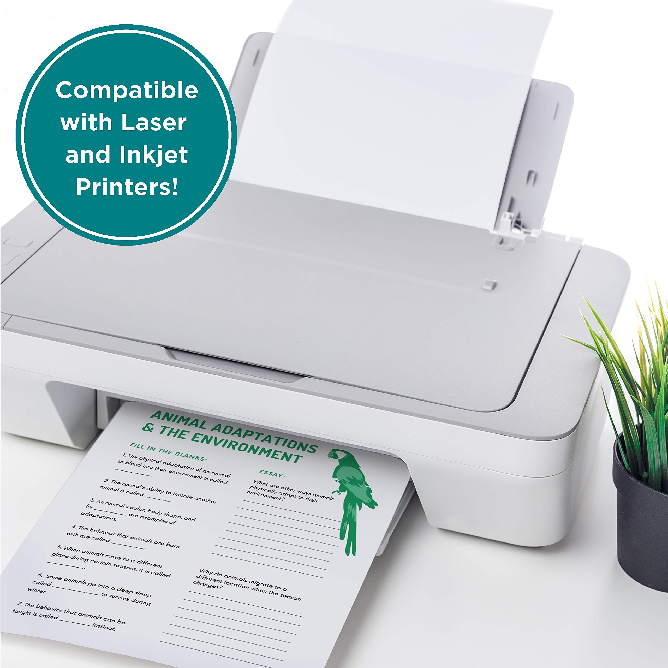 Elementree Sustainable Printer Paper Case - 8.5