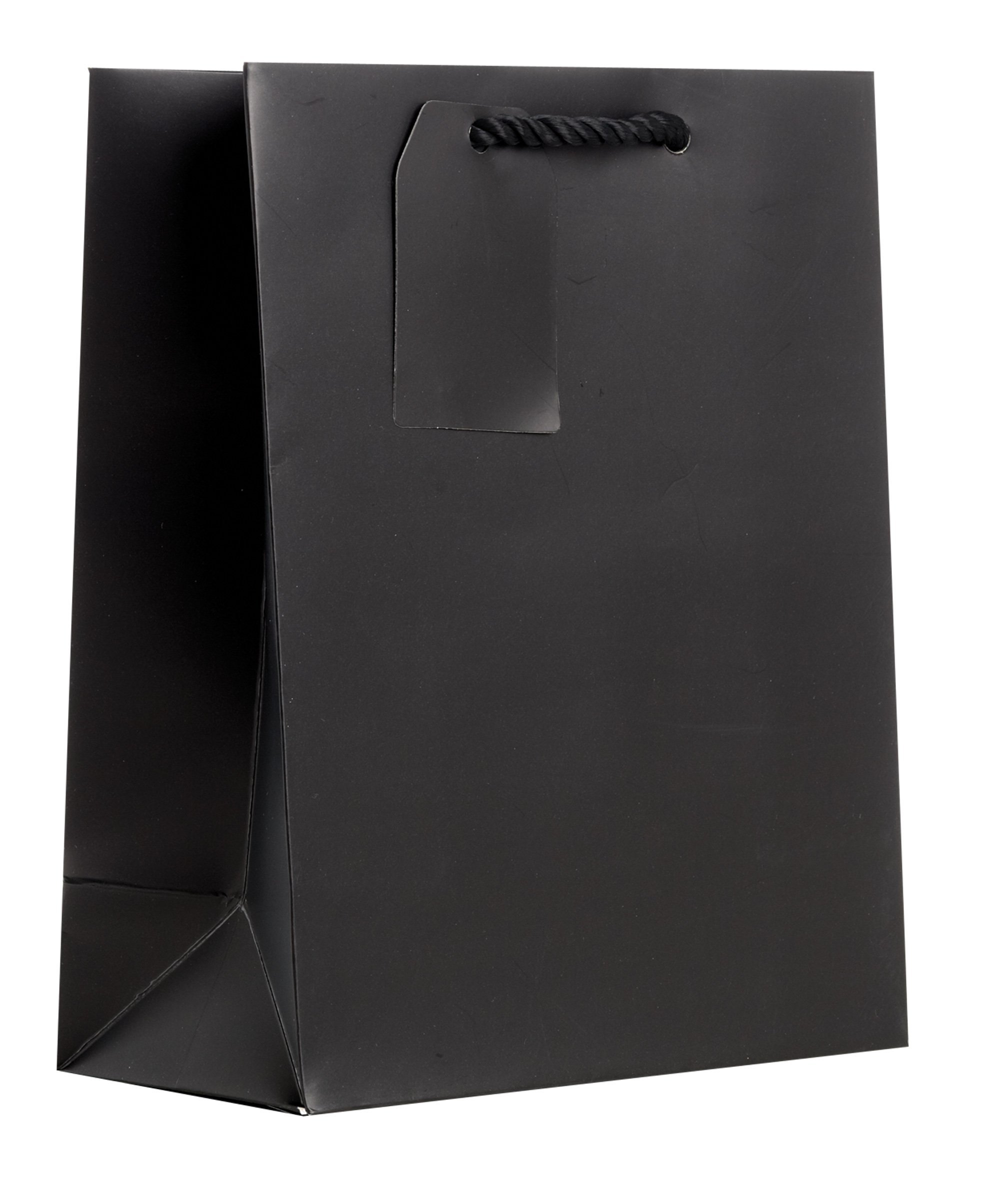 Jillson Roberts Bulk Medium Gift Bags - 120 Count, 19 Colors Including Black Matte (BMT921) - Perfect for Party Favors, Wedding Gifts & Holiday Packaging