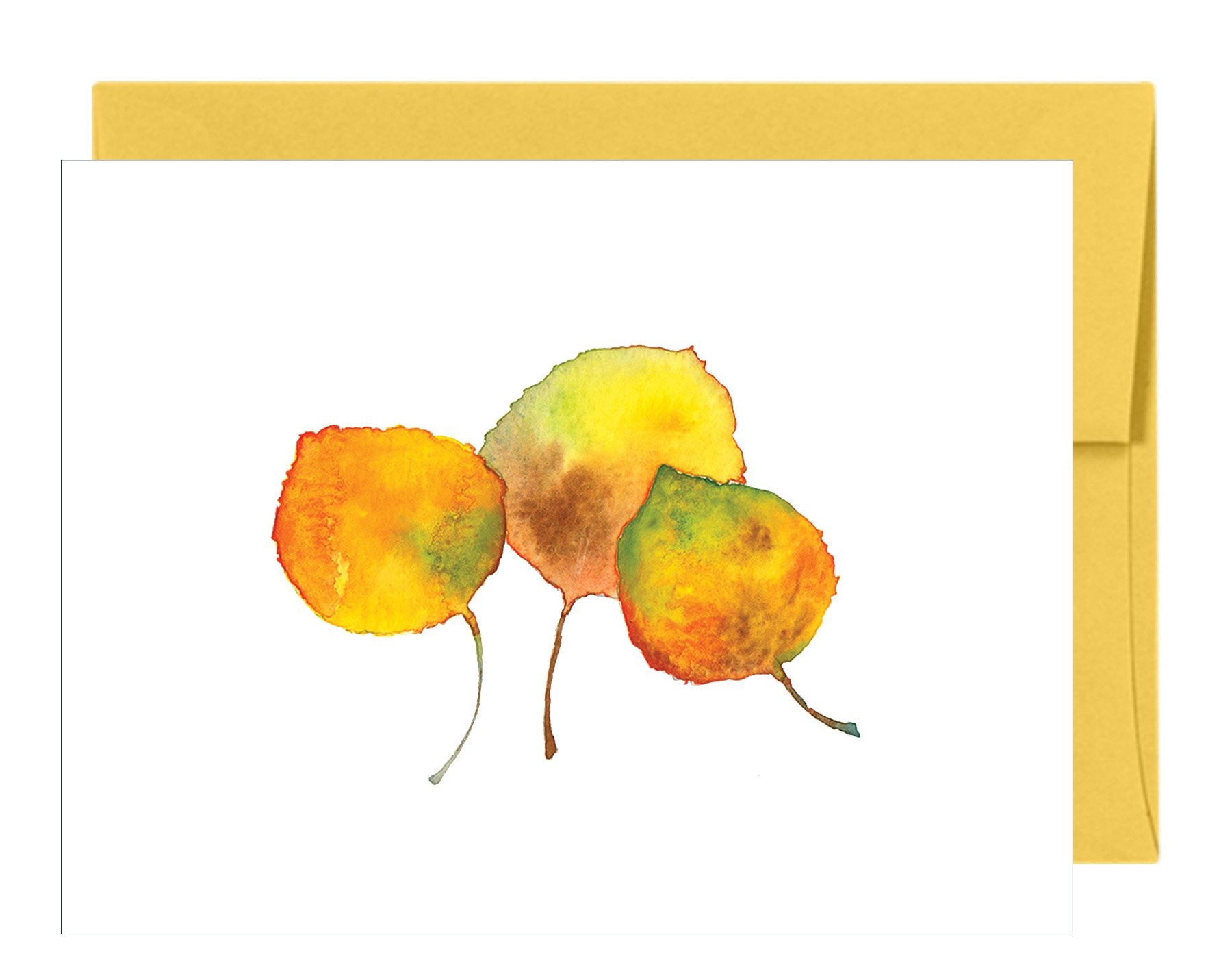 Aspen Treasure Note Cards - Boxed Set of 20 All-Occasion Greeting Cards with Matching Envelopes | Thank You Cards, Birthday Wishes, Wedding Stationery & More | Perfect for Holidays, Anniversaries & Special Events