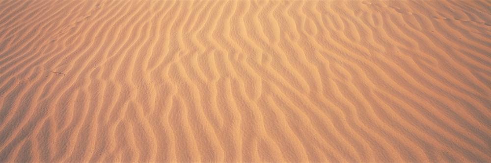 Peel & Stick Wall Mural - Sand Dune Mojave Desert (48