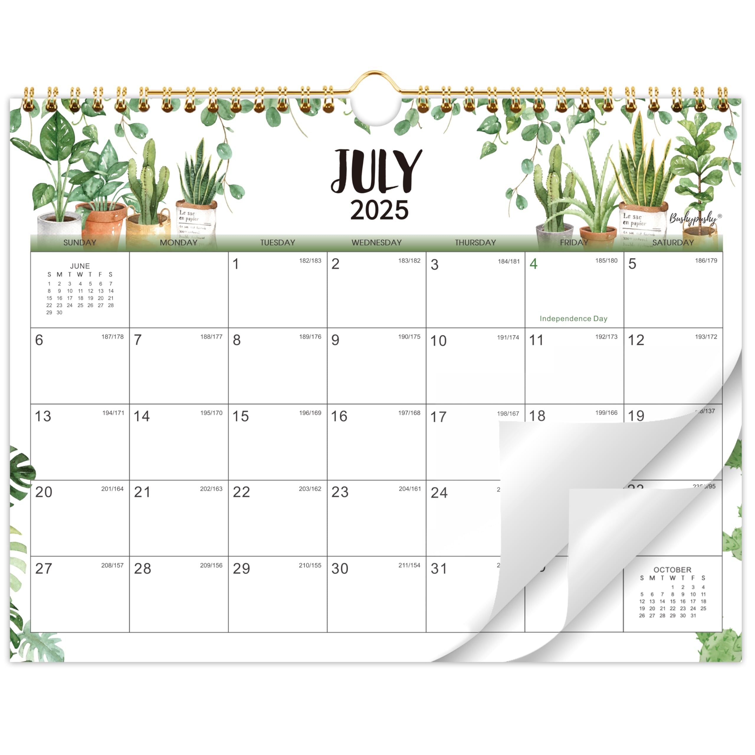 2025-2026 Wall Calendar 18 Months (July 2025 - December 2026) - 11