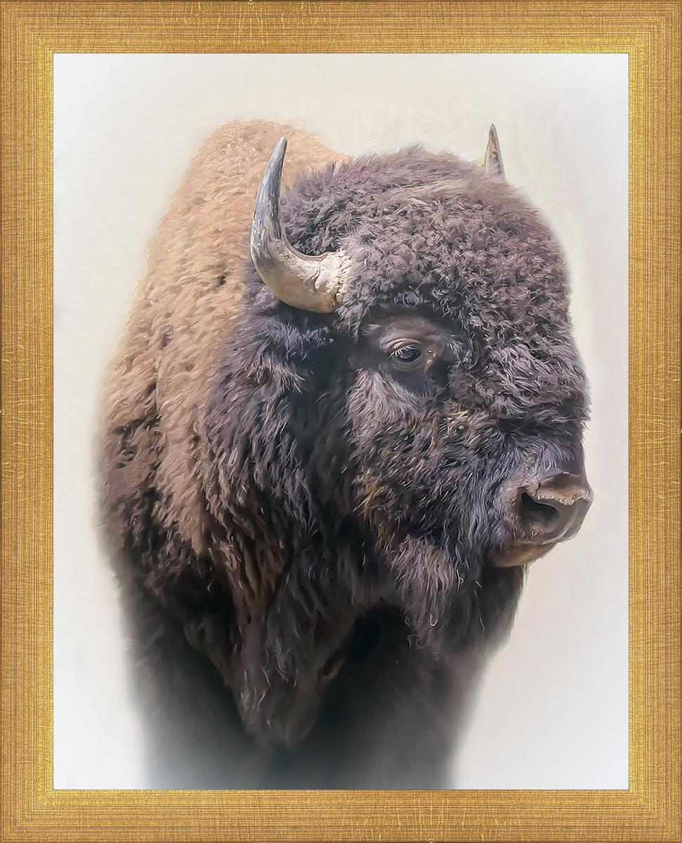 Bison Leather Wallet by Matthew Grant - Premium Handcrafted Genuine Leather Bifold Wallet for Men - Perfect for Everyday Use, Travel & Gifting