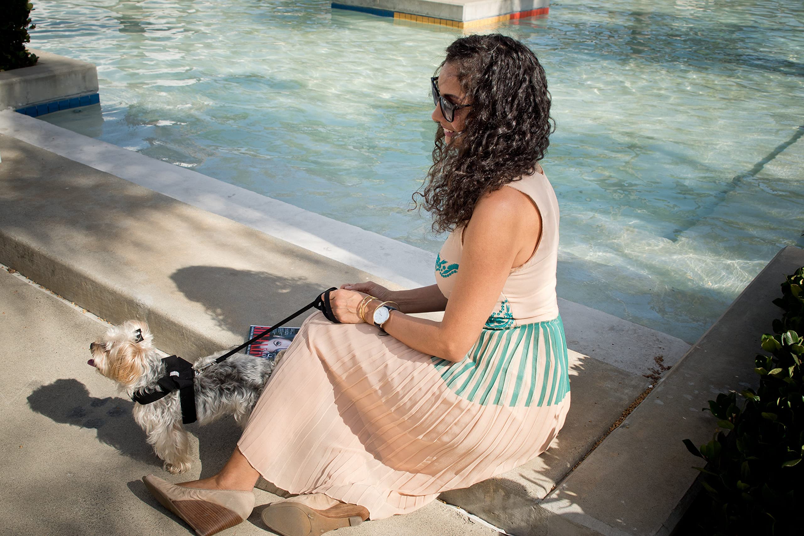 Premium Ultrasuede Dog Harness - Cheetah Print, XS/S for Small Pets - Perfect for Walks & Outings