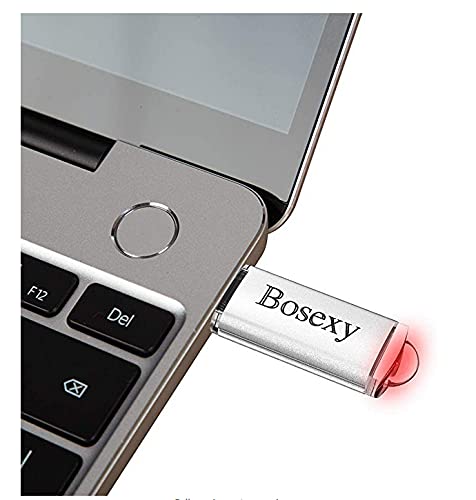 Bosexy 1GB USB Flash Drives 10 Pack - USB 2.0 Thumb Drives with LED & Lanyards for Office & School