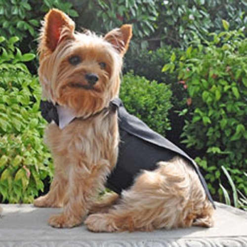 Black Dog Harness with Tuxedo & Tails Bow Tie - Adjustable Cotton Collar for Small Medium Large Dogs - Perfect for Weddings, Parties & Formal Events