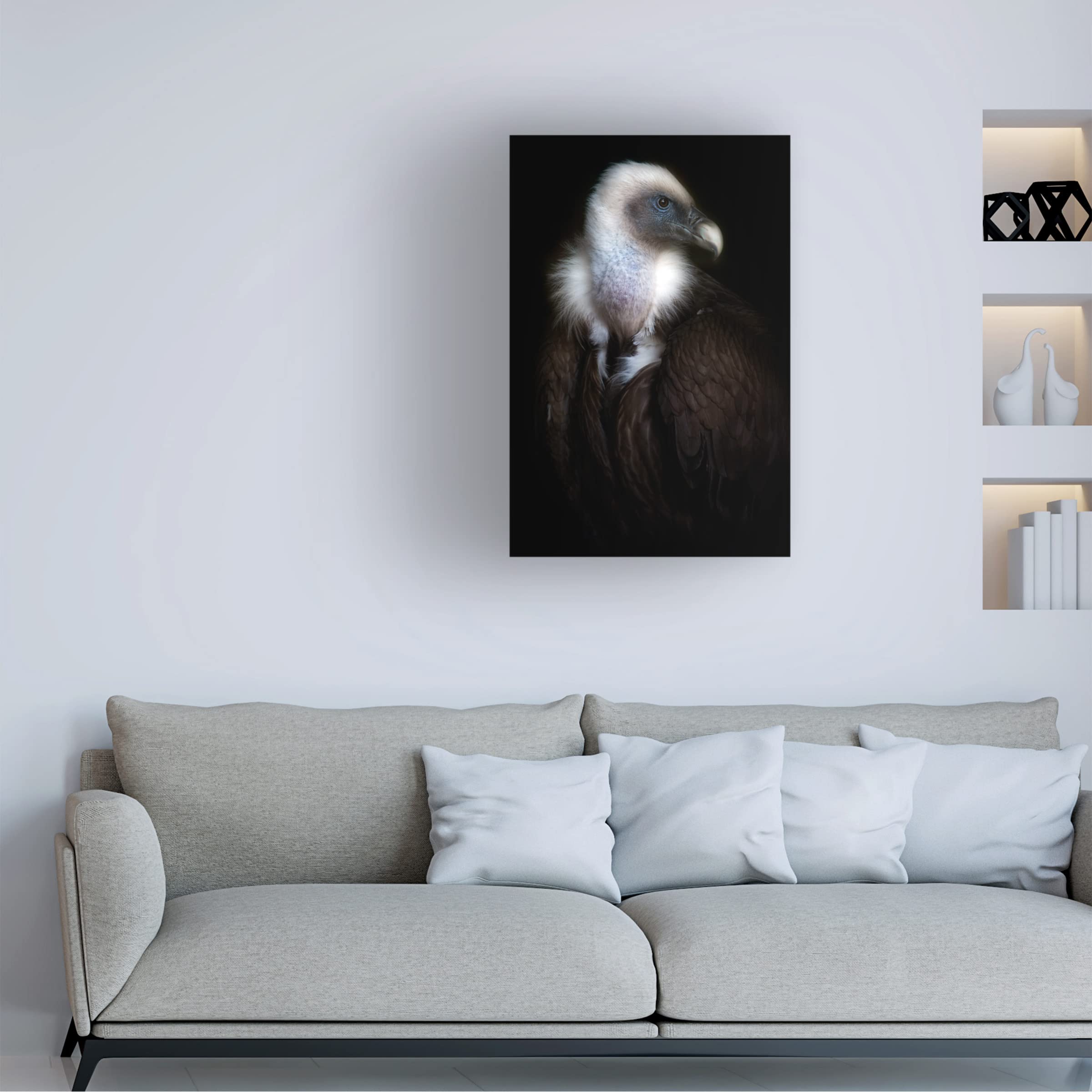 Trademark Fine Art 'Vulture Portrait II' Canvas Wall Art by Santiago Pascual - Wildlife Home Decor for Living Room, Office & Bedroom