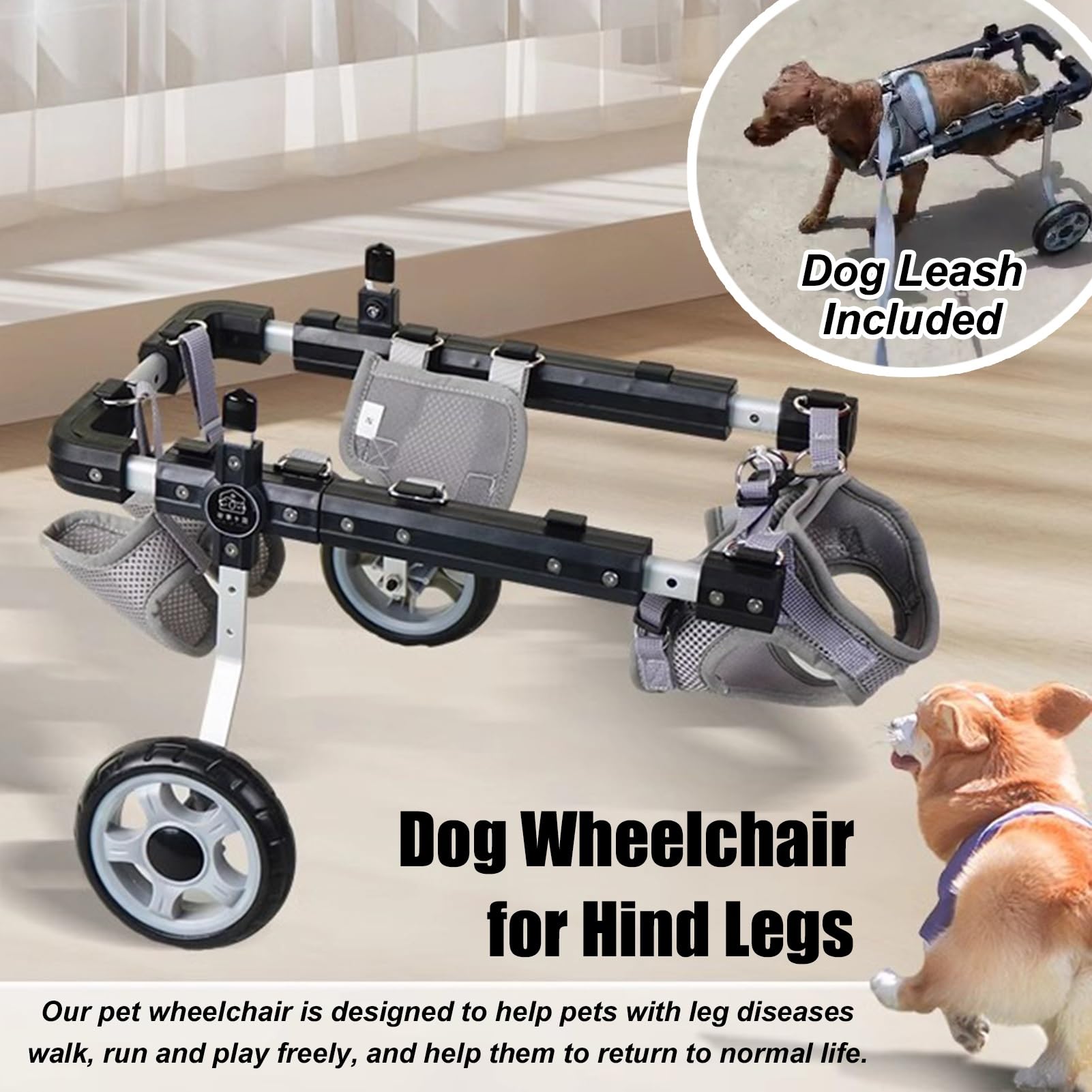 Adjustable Dog Wheelchair Cart for Disabled Pets - Small, Medium & Large Size Pet Mobility Scooter for Hind Leg Injuries | Perfect for Rehab, Outdoor Walks & Daily Support (Large)