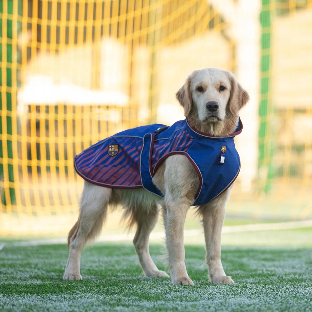 Waterproof Barcelona Dog Raincoat - Lightweight & Durable Pet Rain Jacket for Small Medium Large Dogs - Perfect for Walking, Hiking & Outdoor Adventures