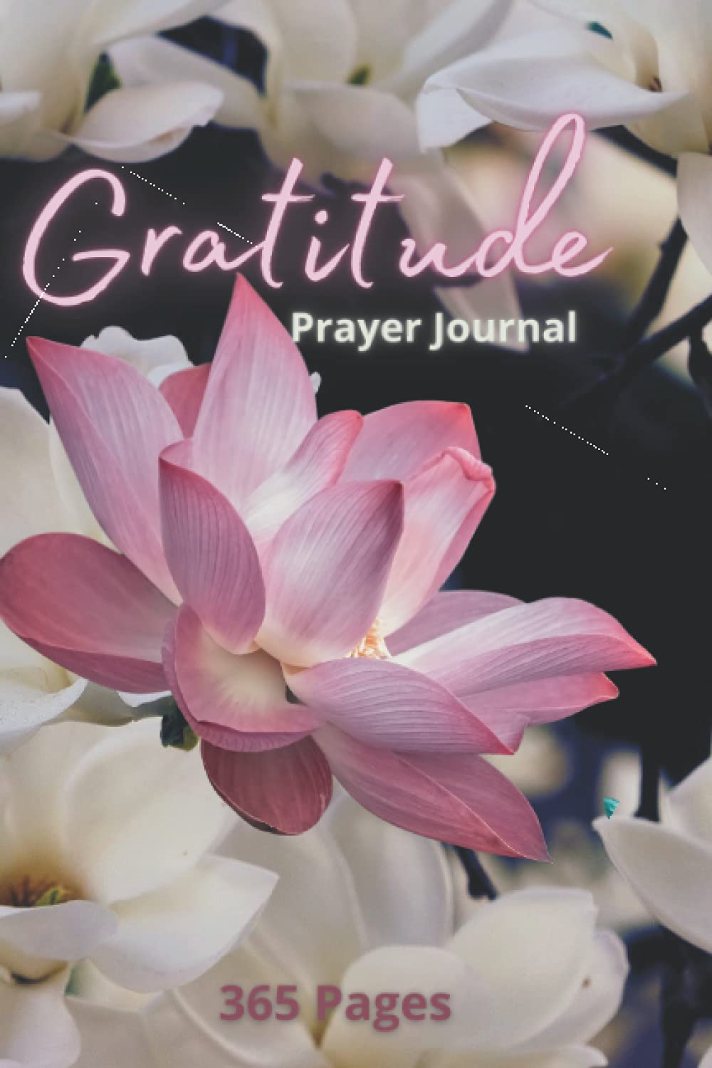 Gratitude Prayer Journal for Women - Daily Reflection & Spiritual Growth Notebook with Prompts | Perfect for Morning Routine, Bible Study & Self-Discovery