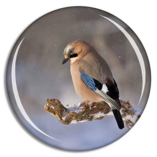 Jay Brid
