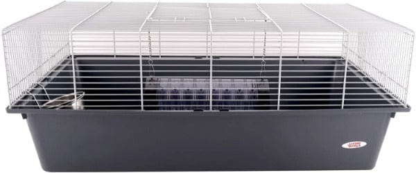 Living World Rat Starter Kit - Complete Small Pet Cage Set with Accessories for Hamsters, Gerbils, Mice | Perfect for Home, Classroom & Pet Store Habitats