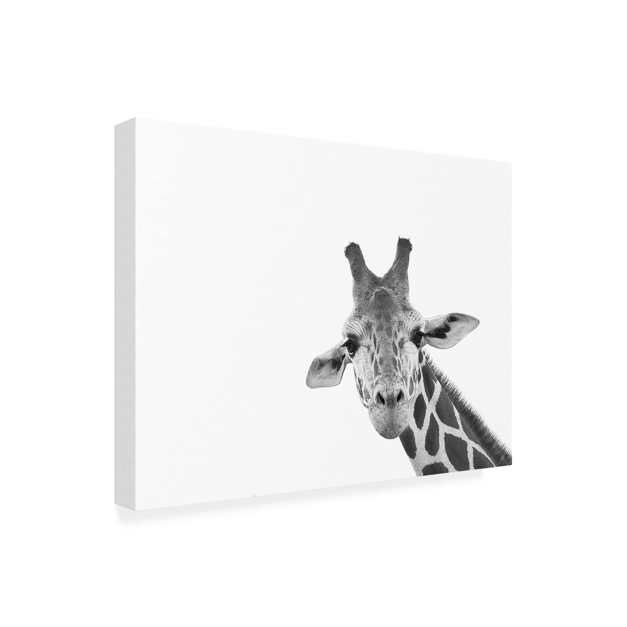 Trademark Fine Art 'Giraffe' Canvas Wall Art by Lori Hutchison - Stunning Wildlife Home Decor for Living Room, Bedroom & Office