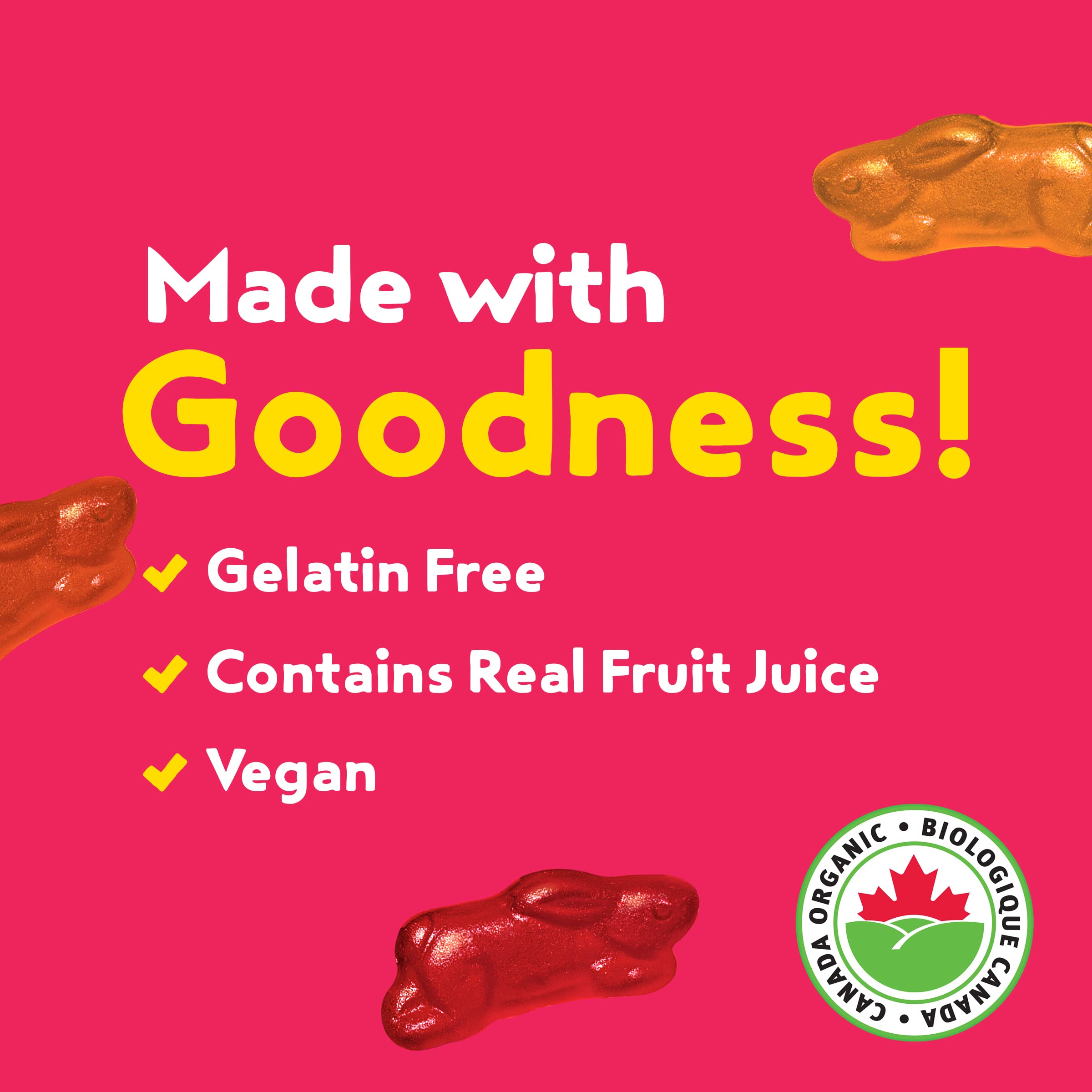 Organic Strawberry Fruit Snacks - ANNIE'S Family Pack (10 Pouches) | No Artificial Colors, Gelatin Free, Gluten Free, Vegan | Perfect for Lunchboxes, After-School Snacks & On-the-Go Healthy Treats