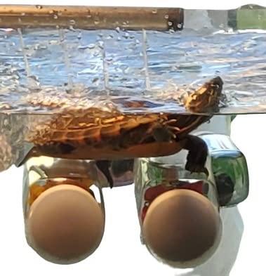 Premium Plastic Aquarium Plants with Suction Cups - 2 Large Bottles for Turtle Basking Platform | Handmade Pet Supplies for Fish Tank Decoration & Reptile Habitat