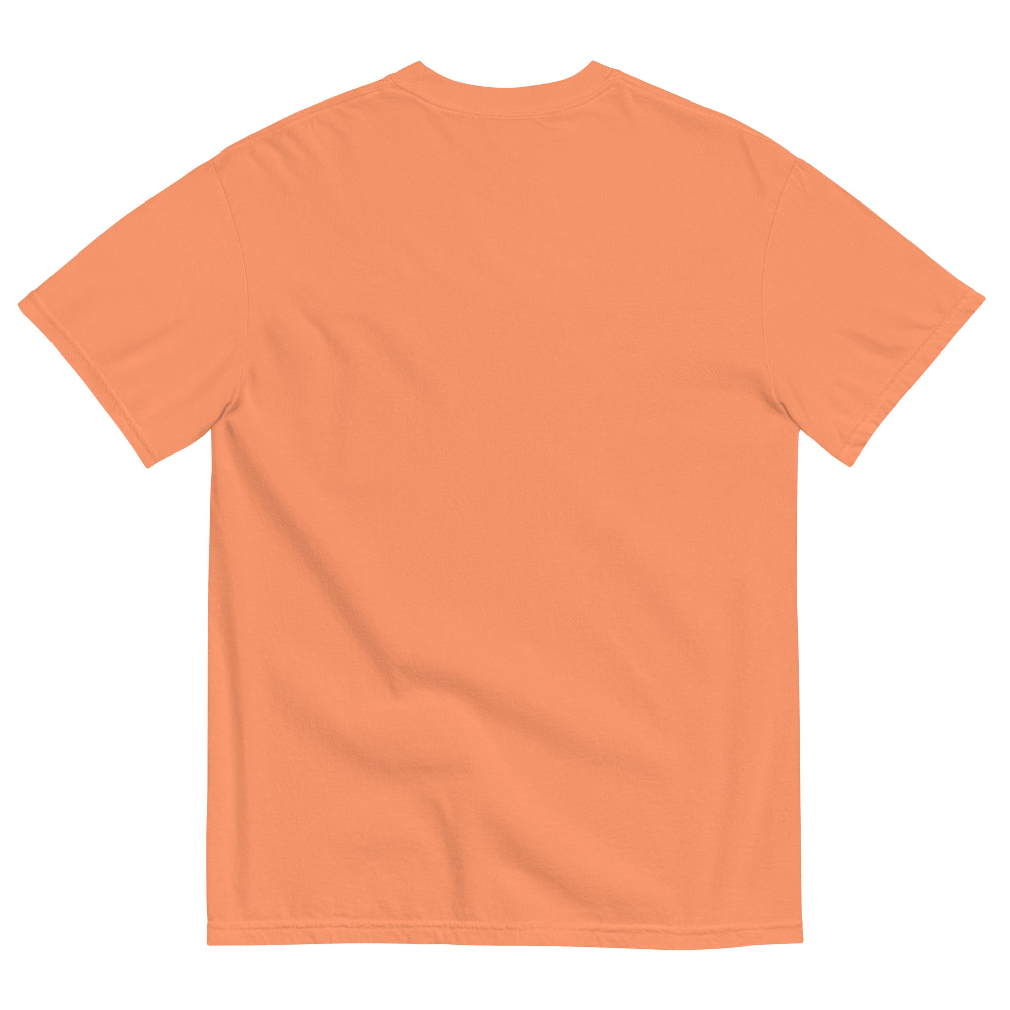 Oxy Rugby Garment Dyed T-Shirt - Vintage Style Cotton Tee for Men | Casual Wear, Street Fashion & Sporty Outfits