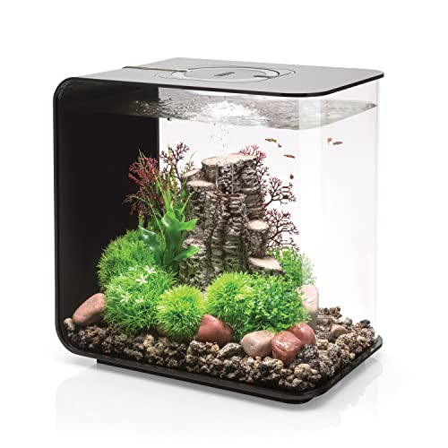 Black with LED Lighting