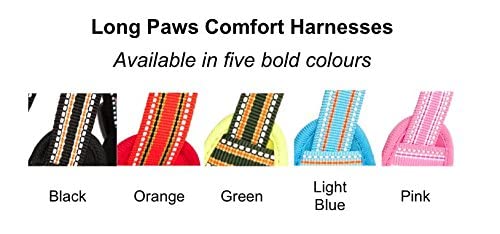 Reflective Padded Dog Harness for Small Dogs - Comfortable & Adjustable Pet Harness with Breathable Mesh - Perfect for Walking, Running & Outdoor Adventures (Black)