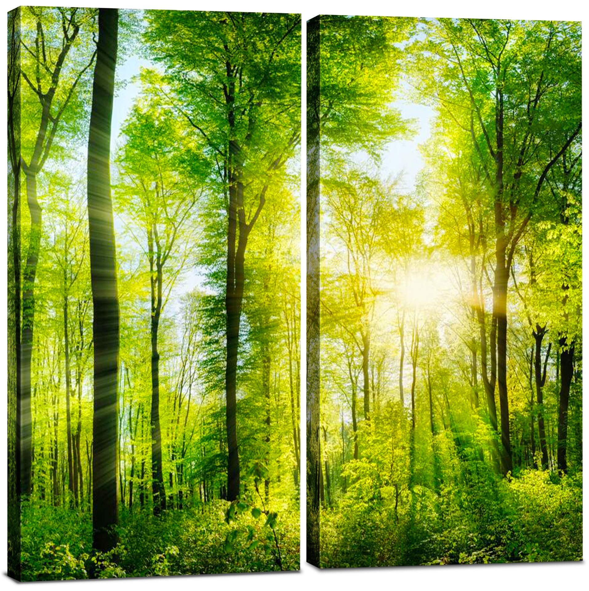 Forest Canvas Wall Art Decor - 24x24 Inch Tree Landscape Picture - 2 Piece Set, Modern Multi Panel Split Prints for Living Room, Kitchen, Bedroom, Office & Home Decor Gift - Perfect for Nature Lovers & Wall Decoration