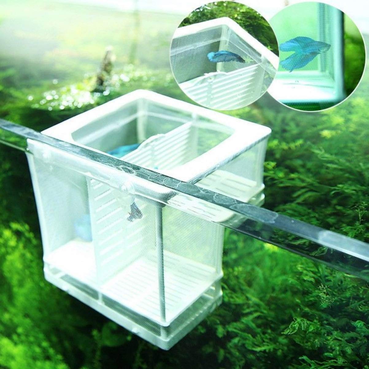 Aquarium Fish Breeding Box - Large Mesh Net Hatchery for Fry, Guppies, and Livebearers | Safe Isolation Tank for Pregnant Fish and Baby Fry | Perfect for Fish Tanks, Aquariums, and Breeding Setups