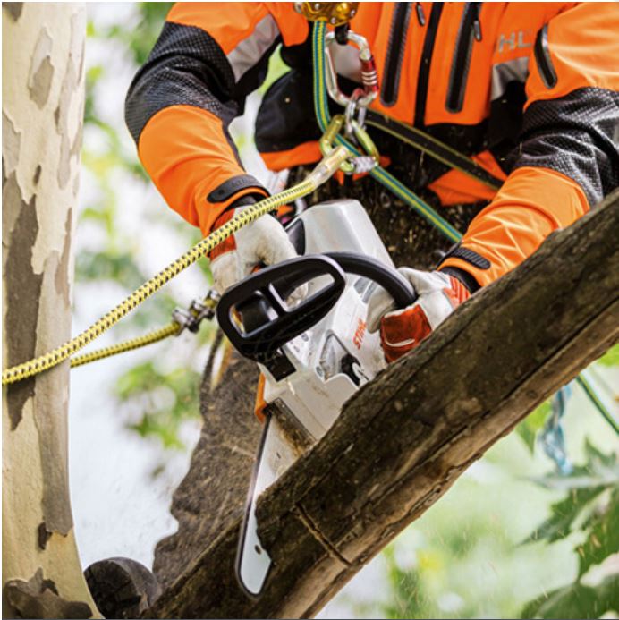 STIHL MSA 161 T 14-Inch 36V Battery-Powered Cordless Chainsaw - Lightweight & Powerful for Tree Trimming, Yard Cleanup & Firewood Cutting