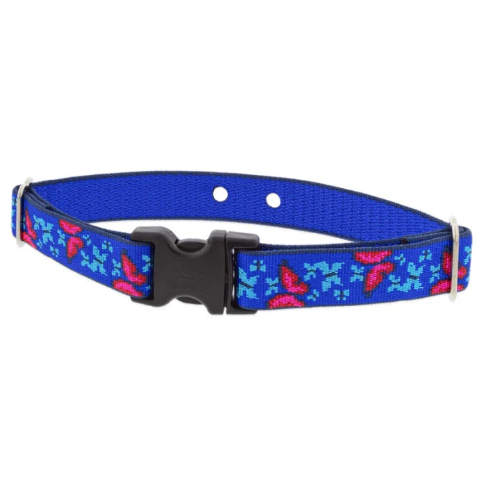 DogWatch Replacement Collar for Dogs - Wide 1 Receiver Collar - Perfect for Training & Outdoor Adventures - Social Butterfly Pet Accessory