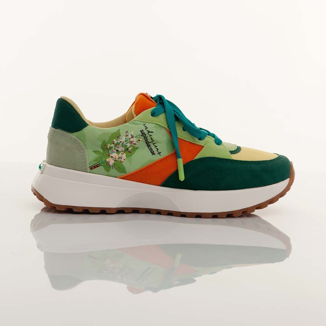 Endemic Cat's Claw & Sapindaceous Sneakers - Comfortable & Stylish Running Shoes for Men & Women - Perfect for Jogging, Gym Workouts & Casual Wear