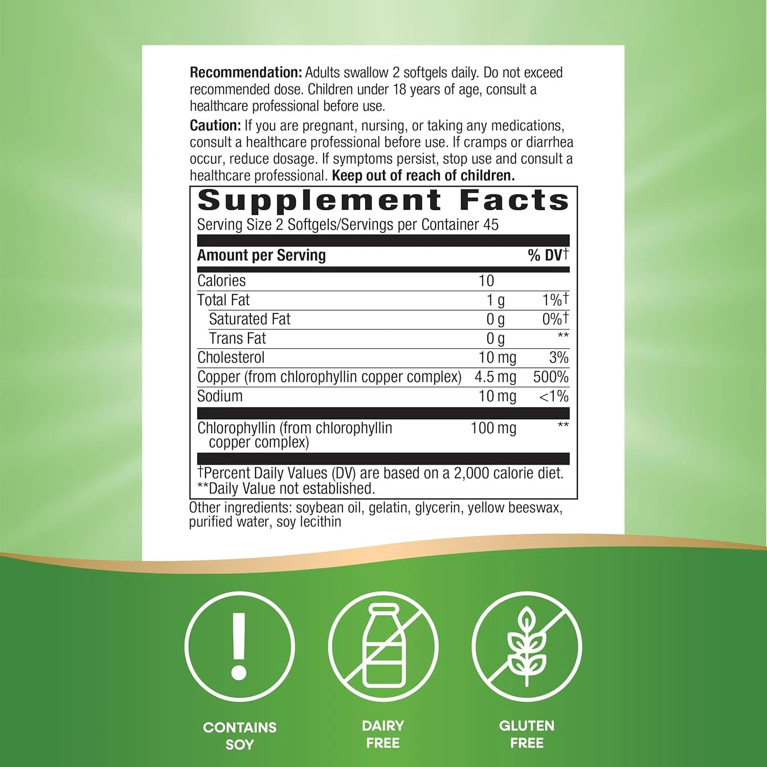 Nature's Way Chlorofresh Liquid Chlorophyll Concentrate Supplement - 100mg per Serving, Supports Detox & Energy, Mint Flavor - Perfect for Daily Wellness & Detox Routines